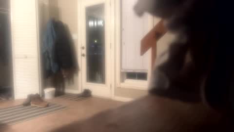 Snapshot of rdyforitall chatting on 12-10-24, 06:22 Mr Nice online show from 12-10-24, 06:22