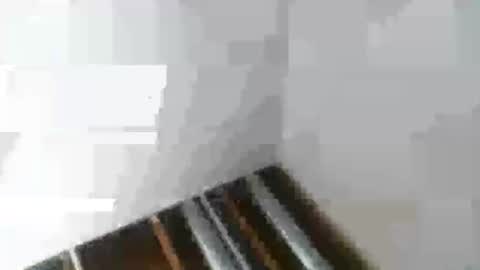 Snapshot of rdyforitall chatting on 01-06-25, 02:48 Mr Nice online show from 01-06-25, 02:48