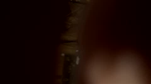 readyforu81 online show from 02-04-26, 05:57