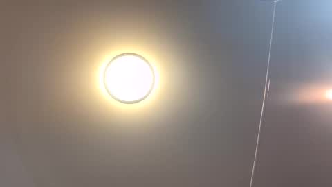 tranzGODess online show from 05-16-26, 08:11