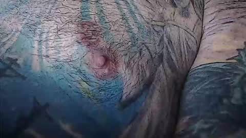 Snapshot of realrubpirate chatting on 02-03-26, 09:03 realrubpirate online show from 02-03-26, 09:03