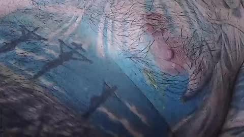 Snapshot of realrubpirate chatting on 02-15-26, 09:08 realrubpirate online show from 02-15-26, 09:08