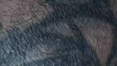 realrubpirate online show from 03-18-26, 08:50