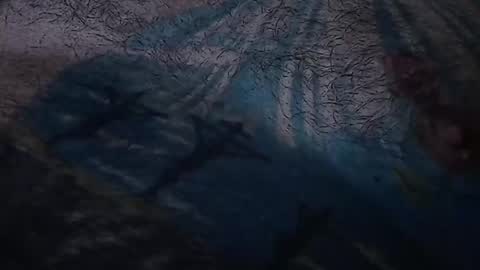 realrubpirate online show from 03-22-26, 07:56