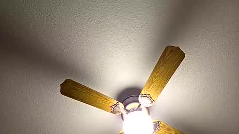 Snapshot of red24devils chatting on 02-18-26, 12:50 red24devils online show from 02-18-26, 12:50