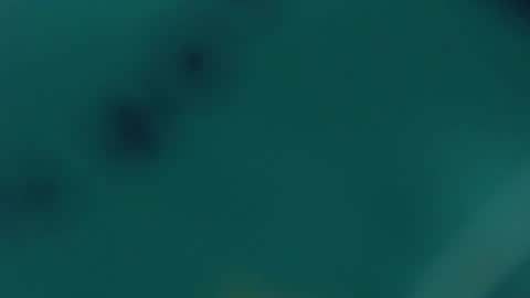 Lupe online show from 02-20-25, 09:55