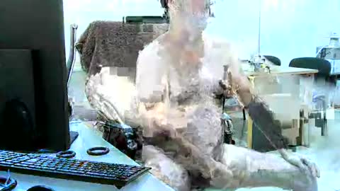 region4 online show from 04-19-26, 06:10