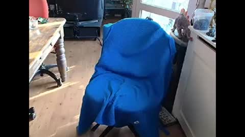 Snapshot of relaxyio chatting on 03-10-25, 07:42 relaxyio online show from 03-10-25, 07:42