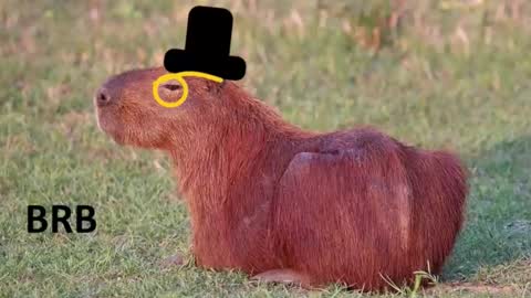 Chris online show from 11-15-25, 08:27