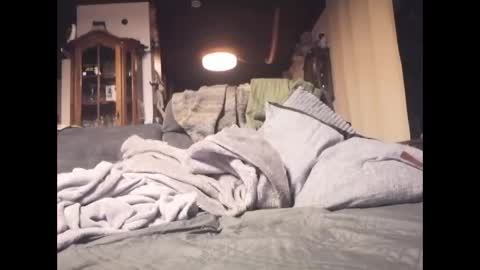 Snapshot of reynaturist chatting on 01-05-26, 09:51 Rey online show from 01-05-26, 09:51