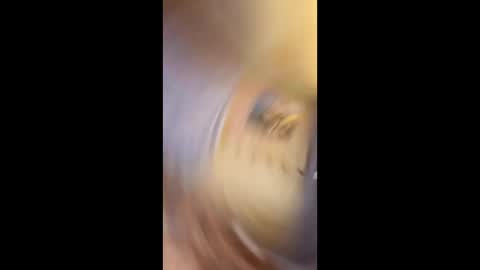 Snapshot of richtarus chatting on 02-15-26, 10:50 Gunman online show from 02-15-26, 10:50