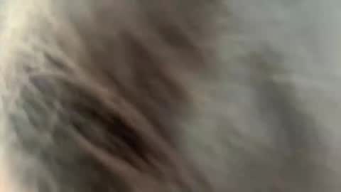 Ammy here its my first stream here online show from 02-27-26, 02:22