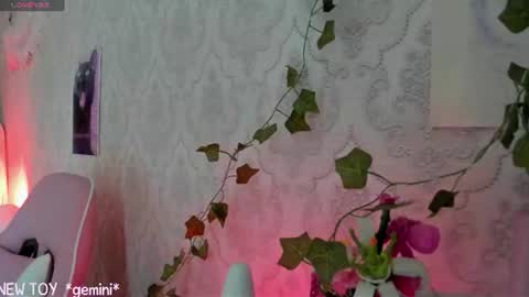 Snapshot of rileynymph chatting on 07-26-26, 07:26 My name is Riley Like my broadcast pls 3 online show from 07-26-26, 07:26