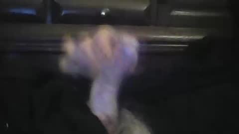 Snapshot of rlpl chatting on 02-23-26, 06:05 rlpl online show from 02-23-26, 06:05