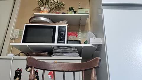 robke1966 online show from 04-06-26, 05:52