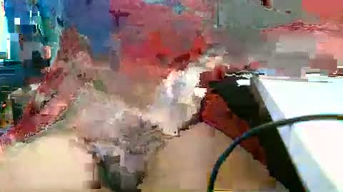 Rocco  aka DaddyRoc online show from 03-01-26, 01:13