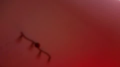 rochelle_dolly online show from 04-10-26, 08:35