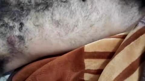 rockyp2025 online show from 03-03-25, 12:05