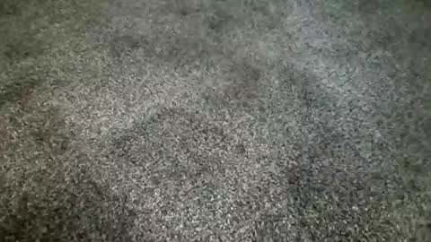 rokard121 online show from 03-04-25, 04:41