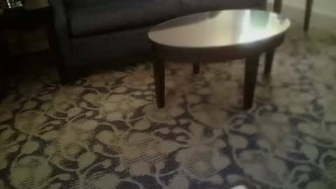 ronin098 online show from 04-23-26, 12:29