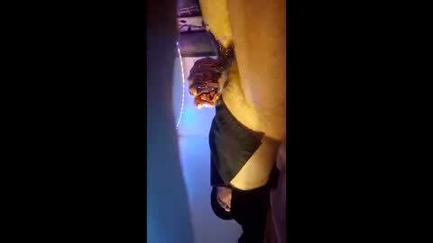ronnieditzy online show from 03-09-26, 06:23