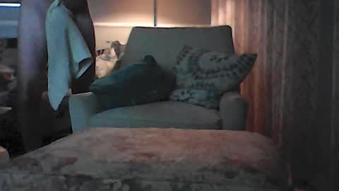 Snapshot of ronvlv chatting on 07-08-26, 01:43 ronvlv online show from 07-08-26, 01:43