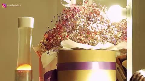 Rosalie online show from 11-14-25, 11:35