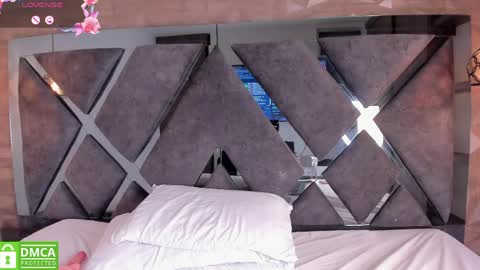 Snapshot of rose_evans__ chatting on 05-19-26, 01:56 Rose online show from 05-19-26, 01:56