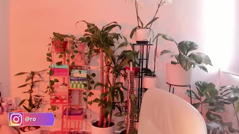 Im Ross   online show from 10-24-25, 07:43