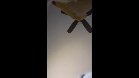 No More Vanilla online show from 04-02-26, 04:37