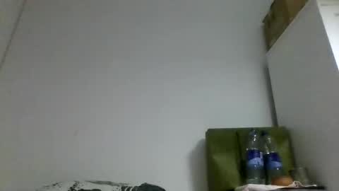 Snapshot of rous01 chatting on 10-22-25, 12:33 Rous online show from 10-22-25, 12:33