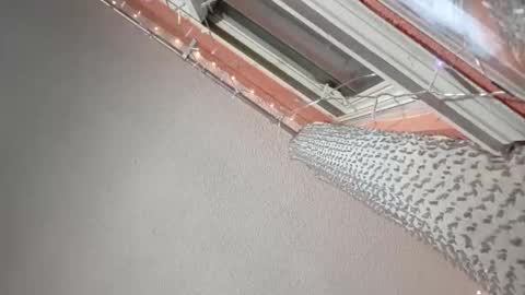 rraineonme online show from 01-12-26, 10:09