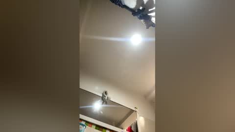 Rubi online show from 03-08-26, 03:16