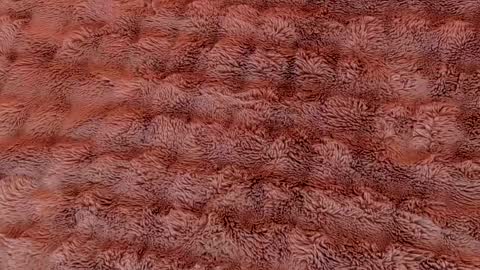 Ruby Luxe online show from 04-05-26, 04:53