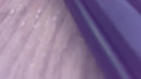 rudiandhisdick online show from 03-26-26, 01:17