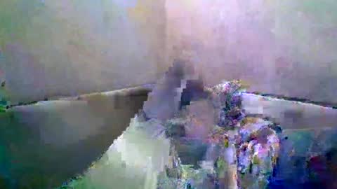 Snapshot of rusqadisx chatting on 07-17-26, 06:35 rusqadisx online show from 07-17-26, 06:35