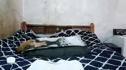 ruu_prettygal online show from 04-04-26, 08:01