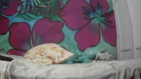 Javier online show from 07-20-26, 12:58