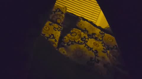 Snapshot of ryanfc85 chatting on 02-08-26, 10:40 RFC666 online show from 02-08-26, 10:40