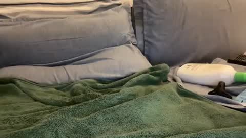 Snapshot of ryanstann4 chatting on 01-02-25, 05:57 Ryan online show from 01-02-25, 05:57