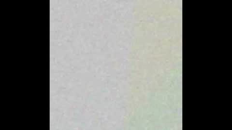 Cookiescream online show from 02-23-25, 02:46
