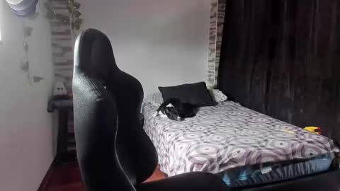 Snapshot of saad__man chatting on 11-02-25, 02:19 Danny online show from 11-02-25, 02:19