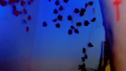 SABRI online show from 03-11-25, 12:39