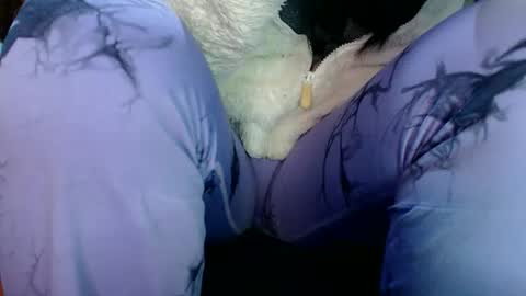 Karina online show from 03-31-26, 12:34