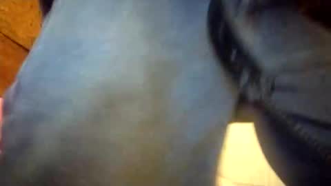 Penoso online show from 12-23-25, 02:31