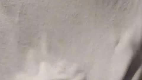 Penoso online show from 01-14-26, 03:01