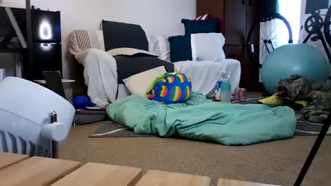 salis1981 online show from 02-19-25, 12:35