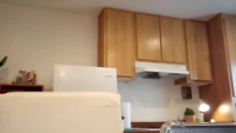 salis1981 online show from 03-02-25, 05:36