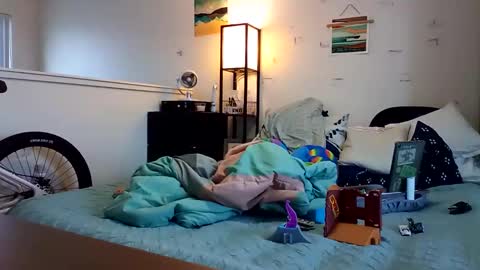 salis1981 online show from 11-24-25, 06:40