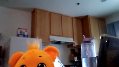 salis1981 online show from 02-19-26, 12:39